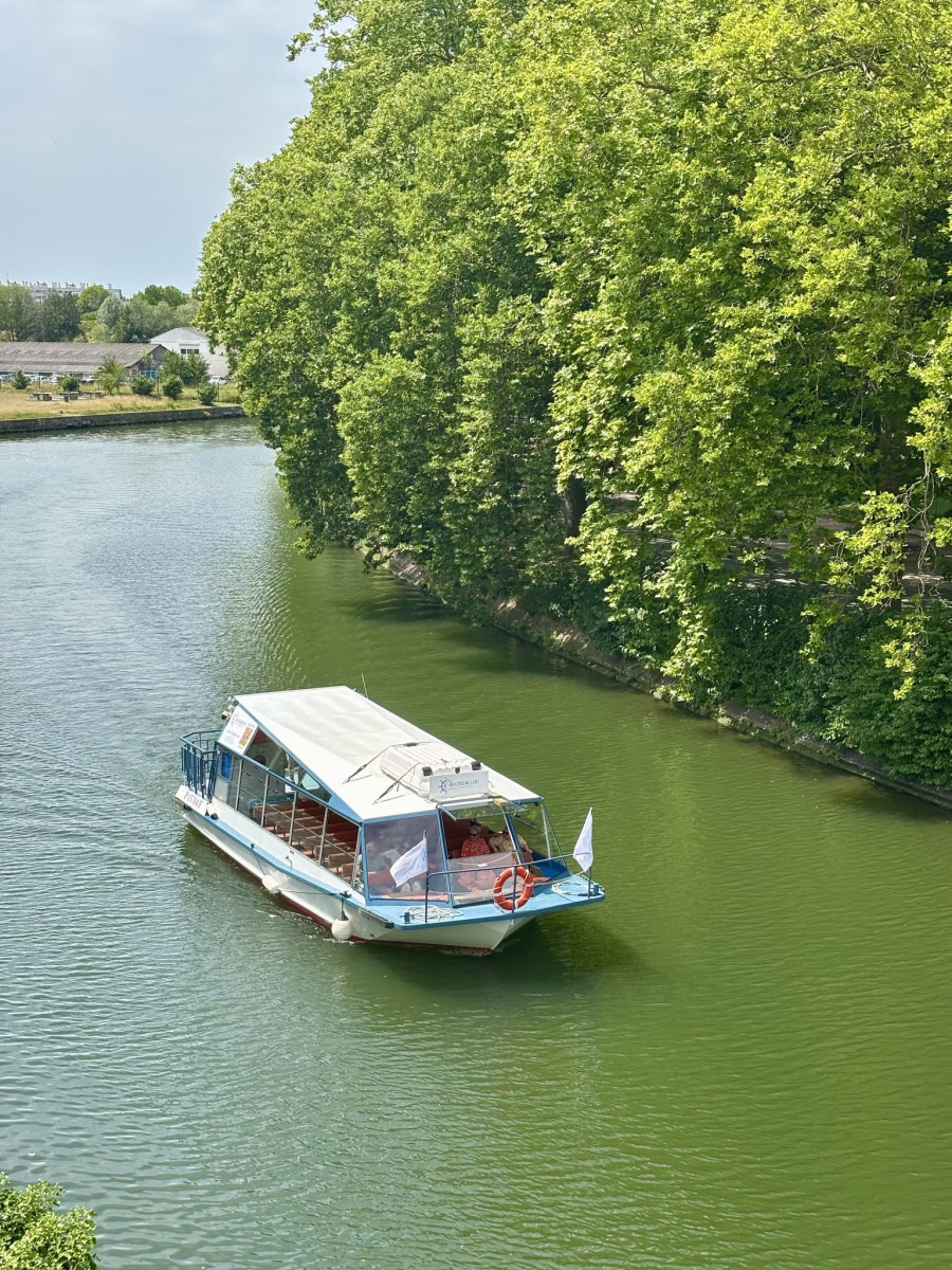 514364894-122144064998384235-6476435795269704798-n-870039