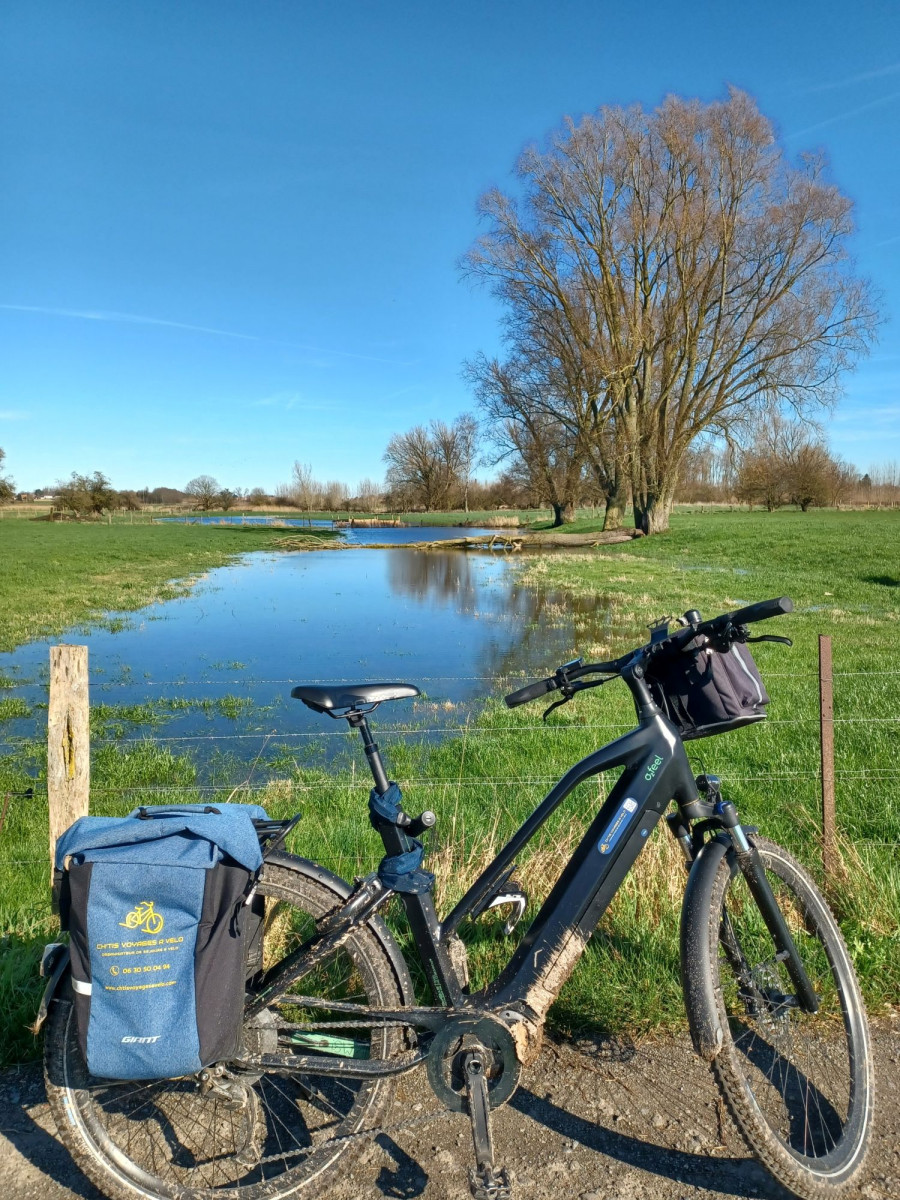 marais-tressin-c-874508