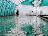 copie-de-etika-spirulina-photo-part1-serre-18-2-896155