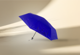 para-bleu-895859