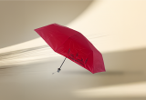 para-rouge-895858