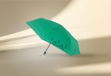 para-vert-895860