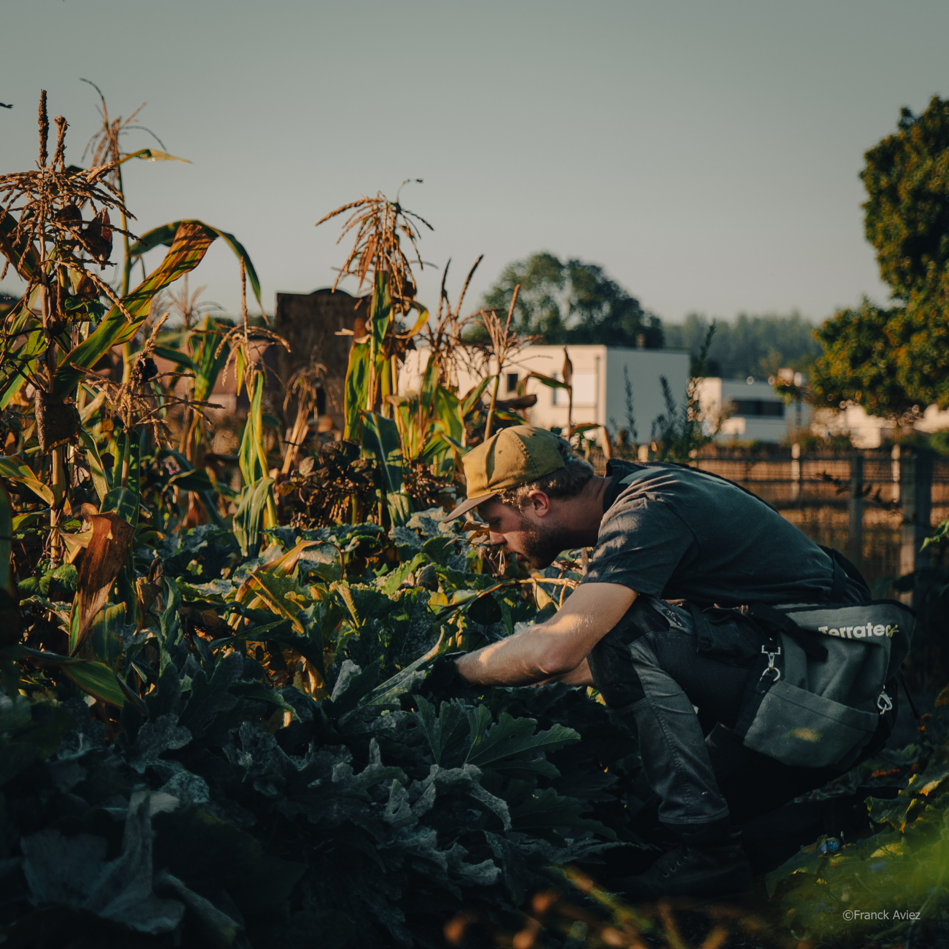 2-cr-dit-la-ferme-des-fr-res-c-tes-877327