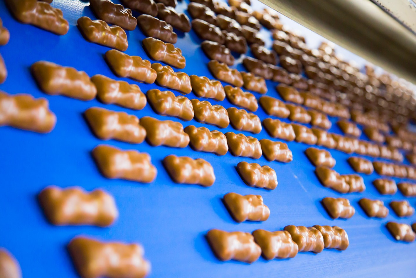 ourson-guimauve-enrobage-cemoi