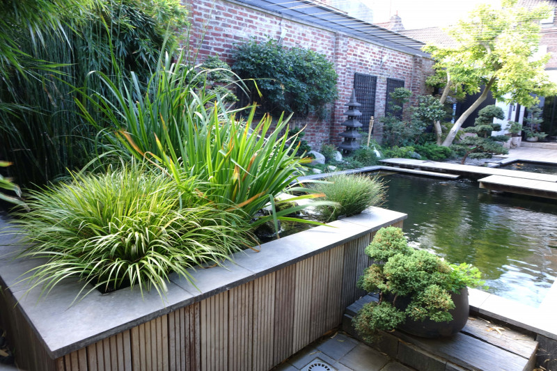 2-le-sentier-du-chimonobambusa-m-vandenbussche