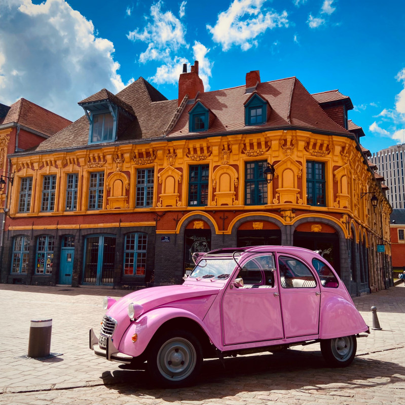 2cv-rose-2-753649