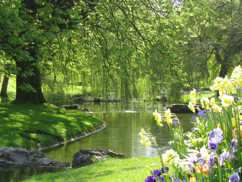 36-parc-barbieux-a-loubry-919455