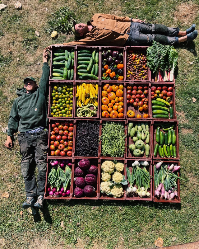 cr-dit-la-ferme-des-fr-res-c-tes-877326